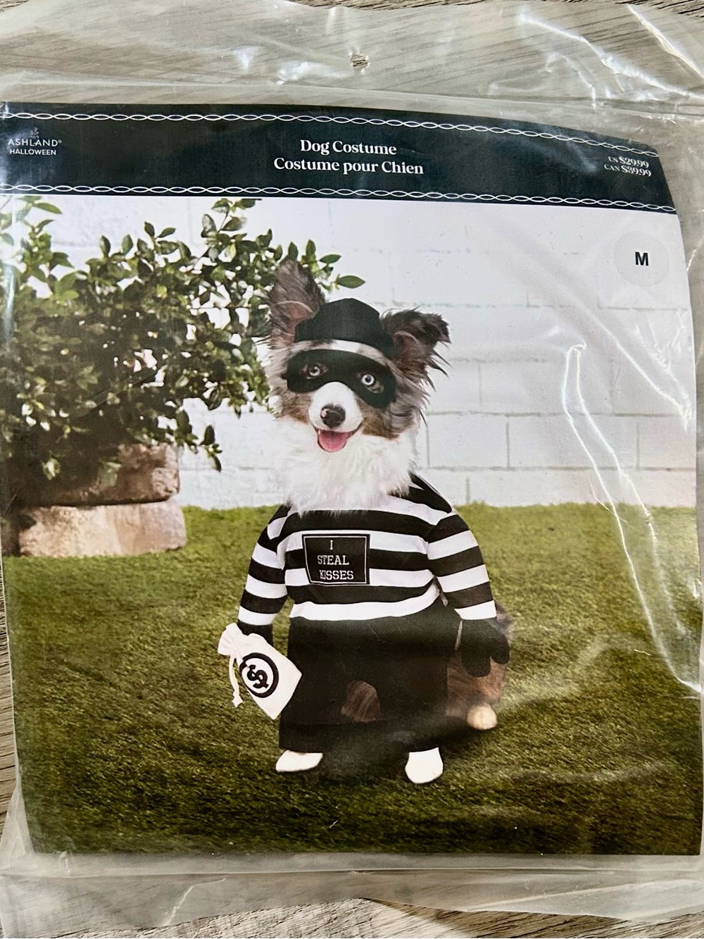 Ashland Black and White Striped Dog Thief Costume